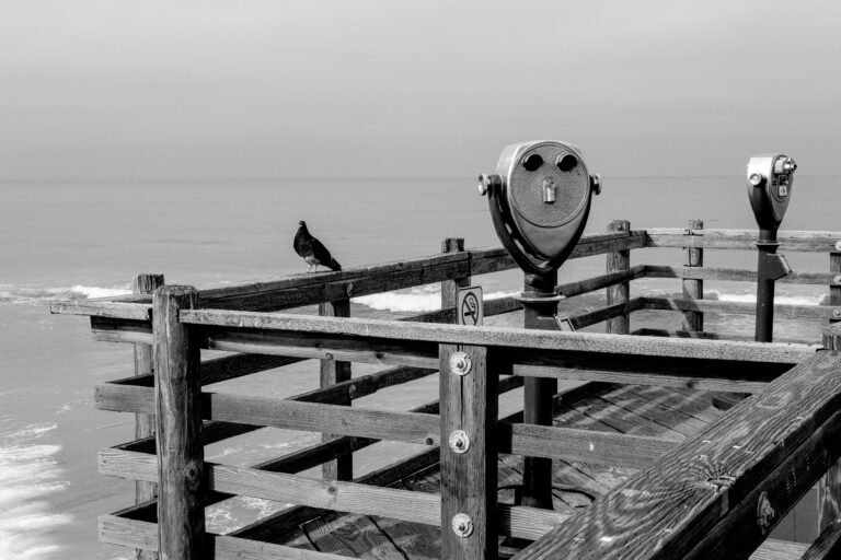Photo by Gary Gray