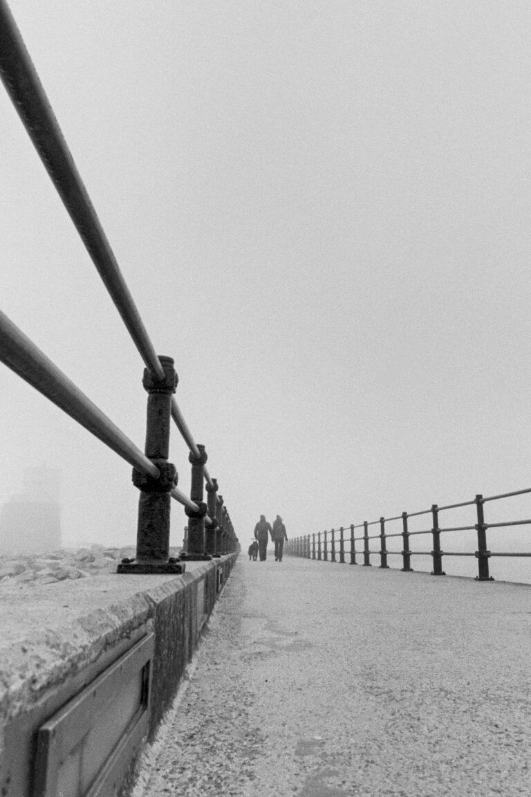 Photo by Jed Pearson