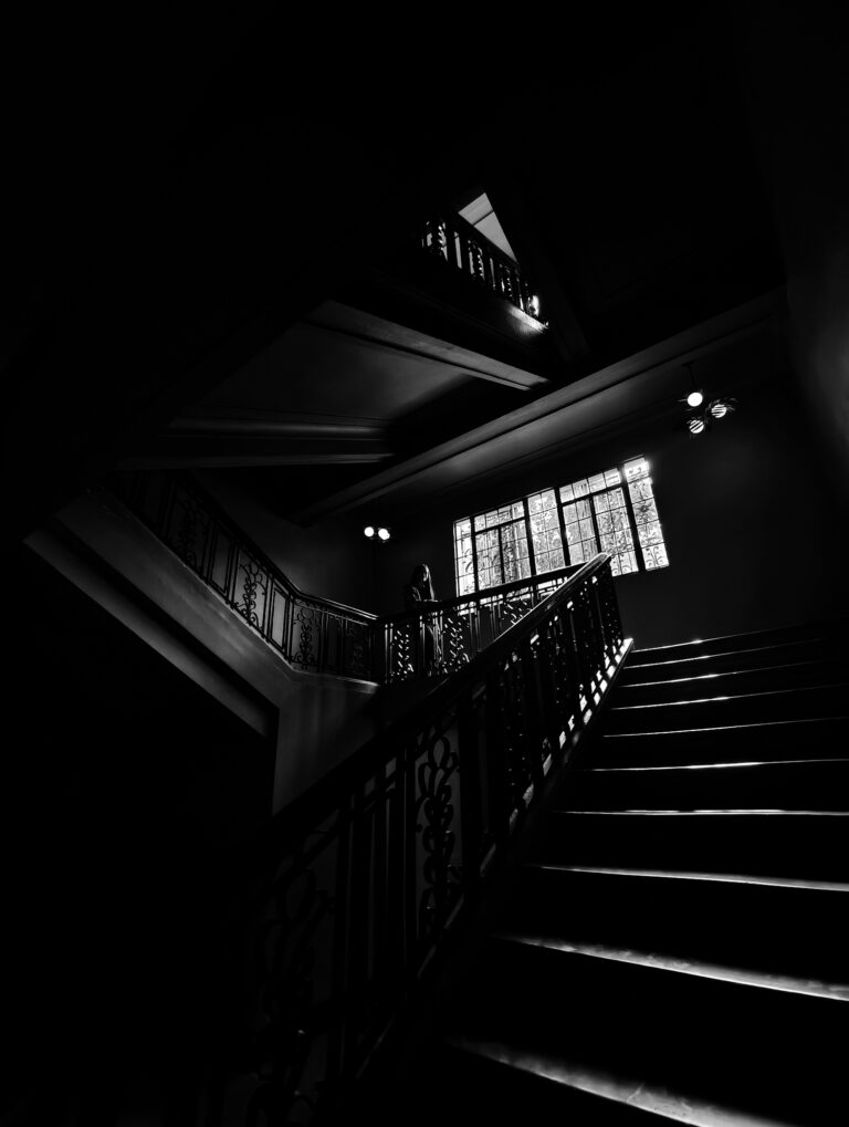 Photo by Kevin Edgar Tapan