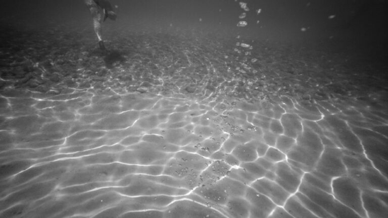 Photo by Giorgos Voulgaris
