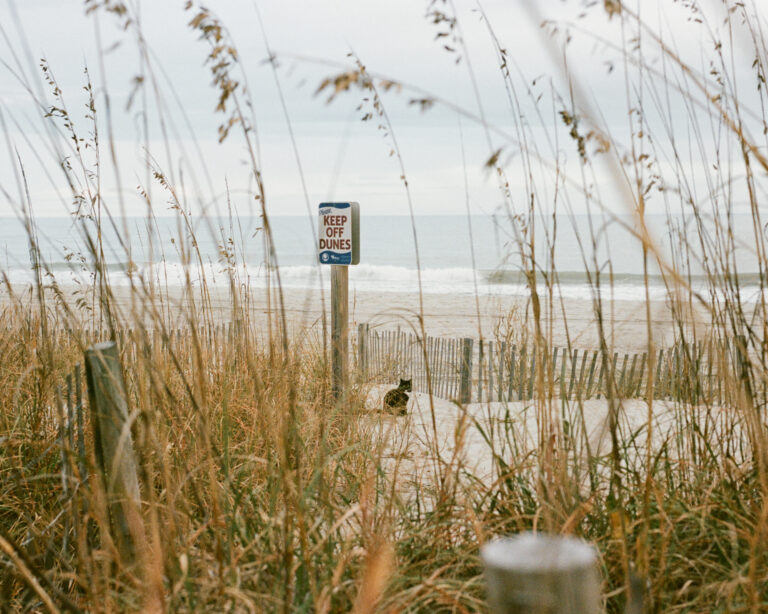 Photo by Tara Rumo