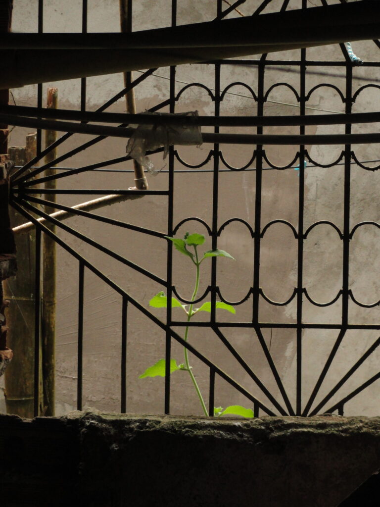 Photo by Ana Muñoz