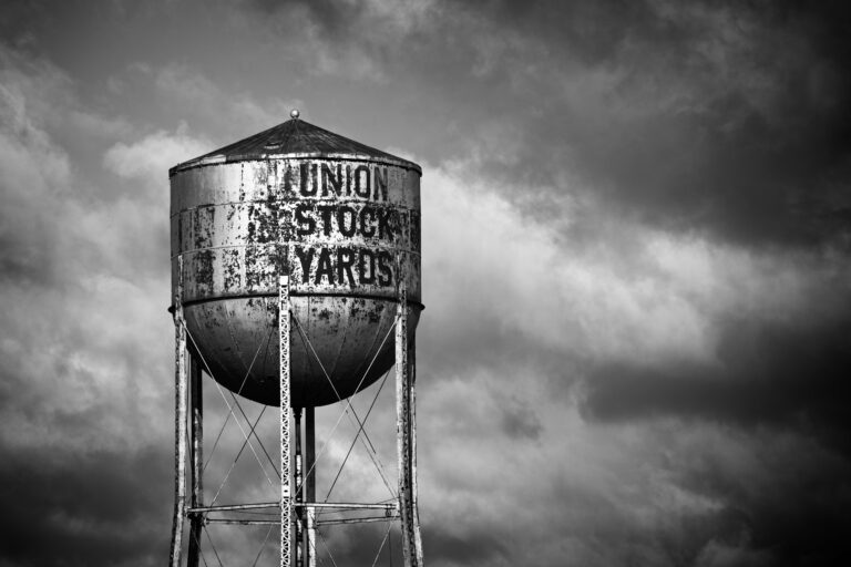 Photo by Mike Carter