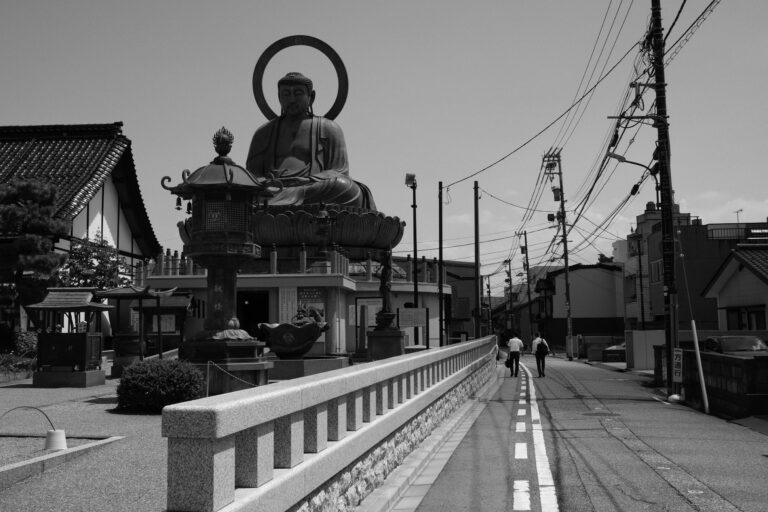 Photo by David _wu