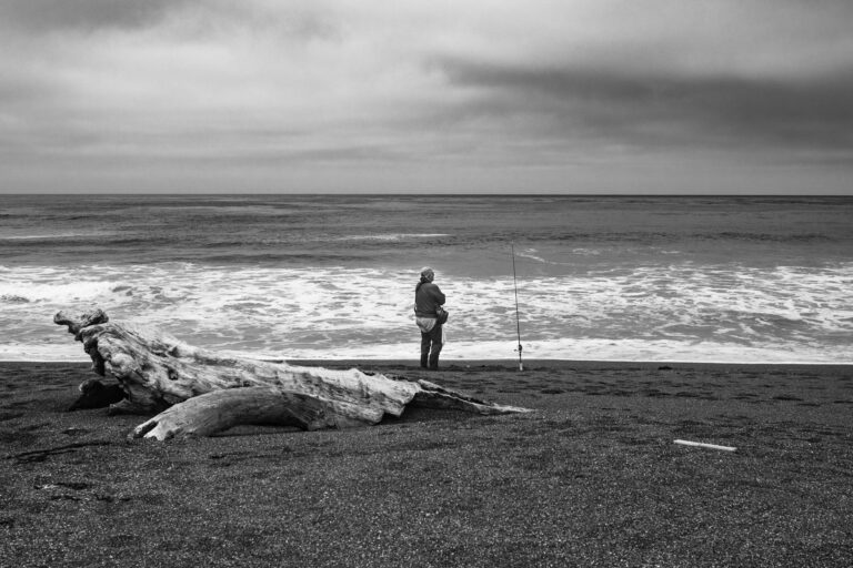 Photo by Wayne Rogge