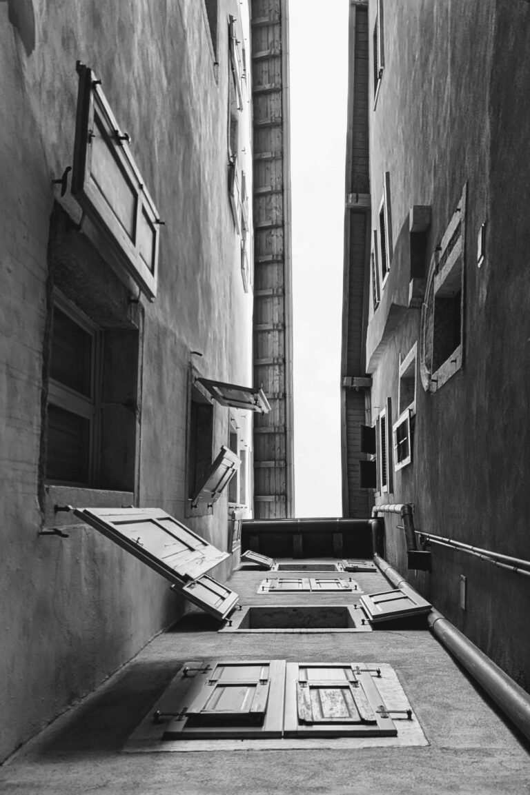 Photo by Frank Berlin