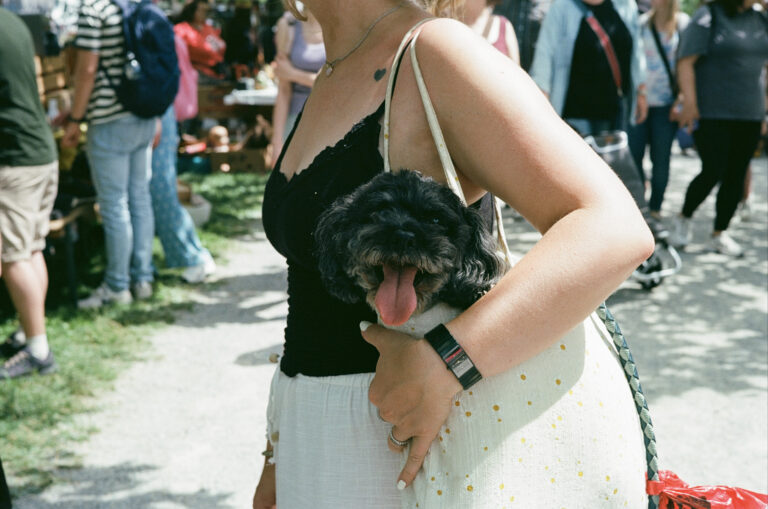 Photo by Antonio Costa