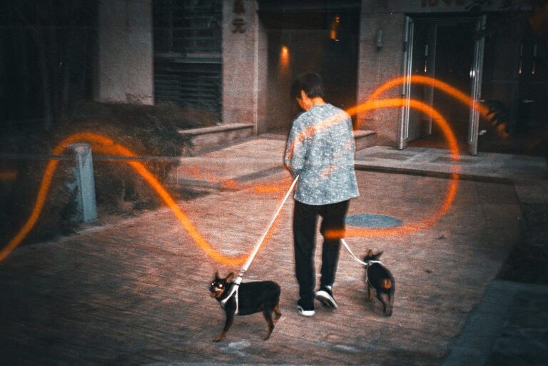 Photo by Alex 艾老师