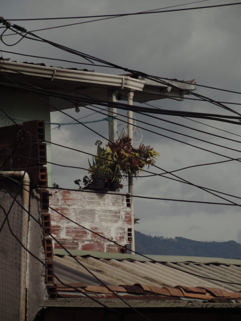 Photo by Ana Muñoz