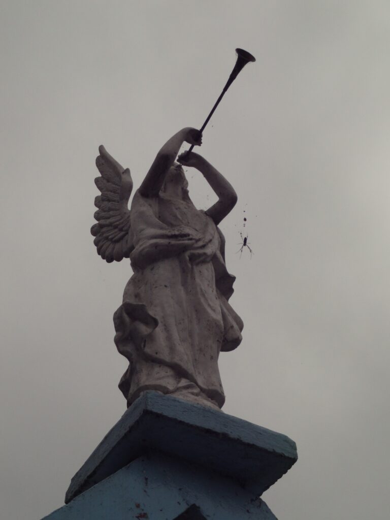 Photo by Ana Muñoz