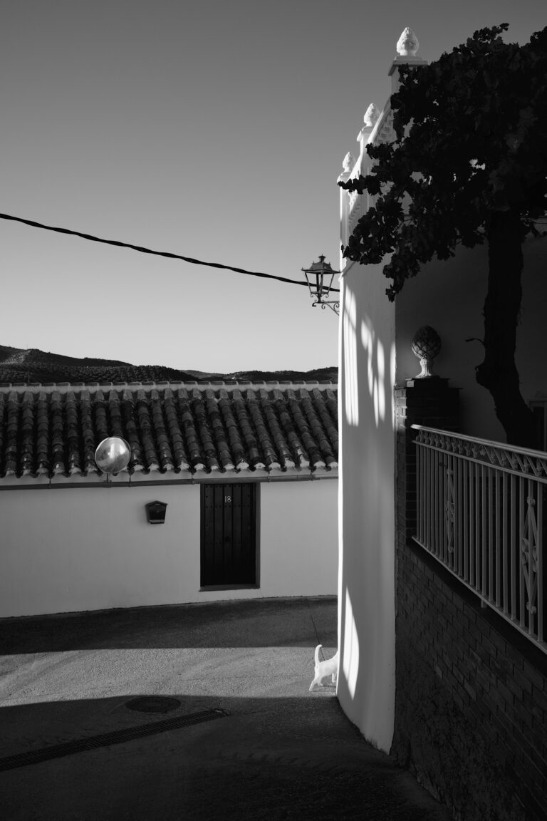 Photo by Pascal Hoerner