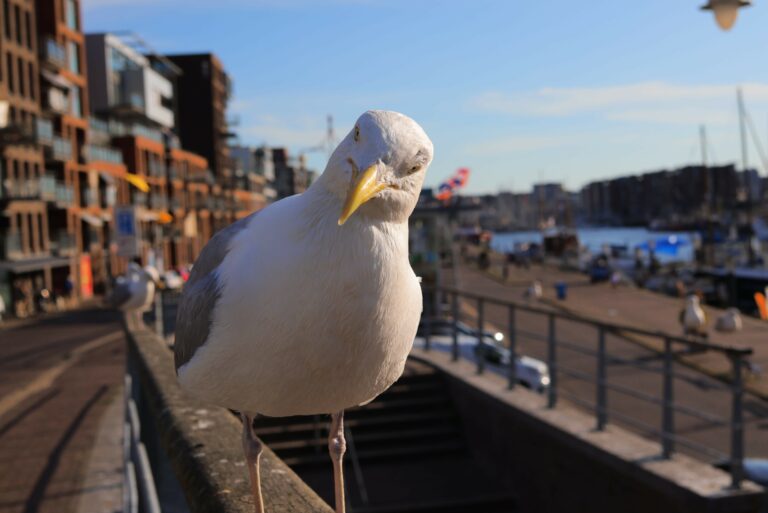 Photo by Nao なお。