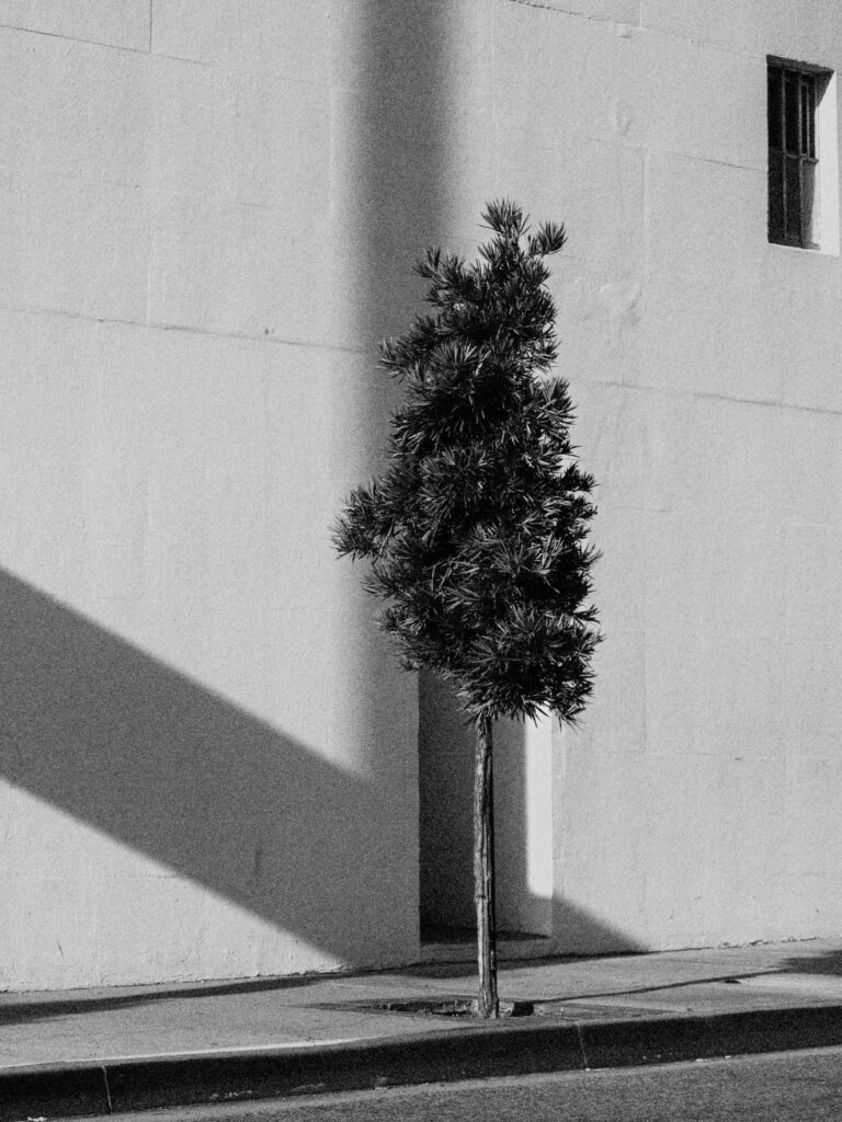 Photo by Kenneth Weaver