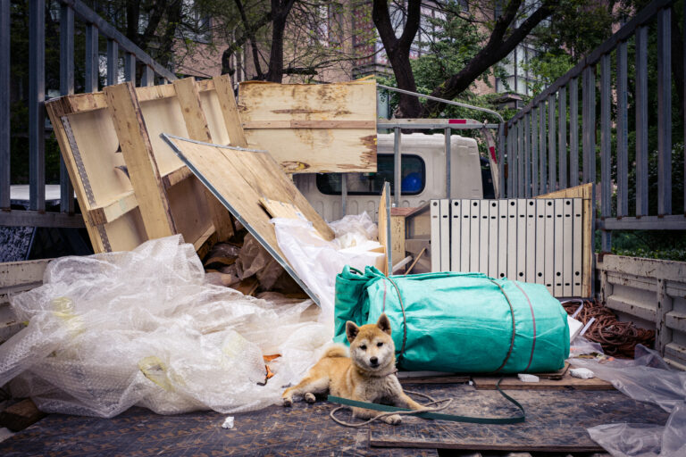 Photo by Alex 艾老师