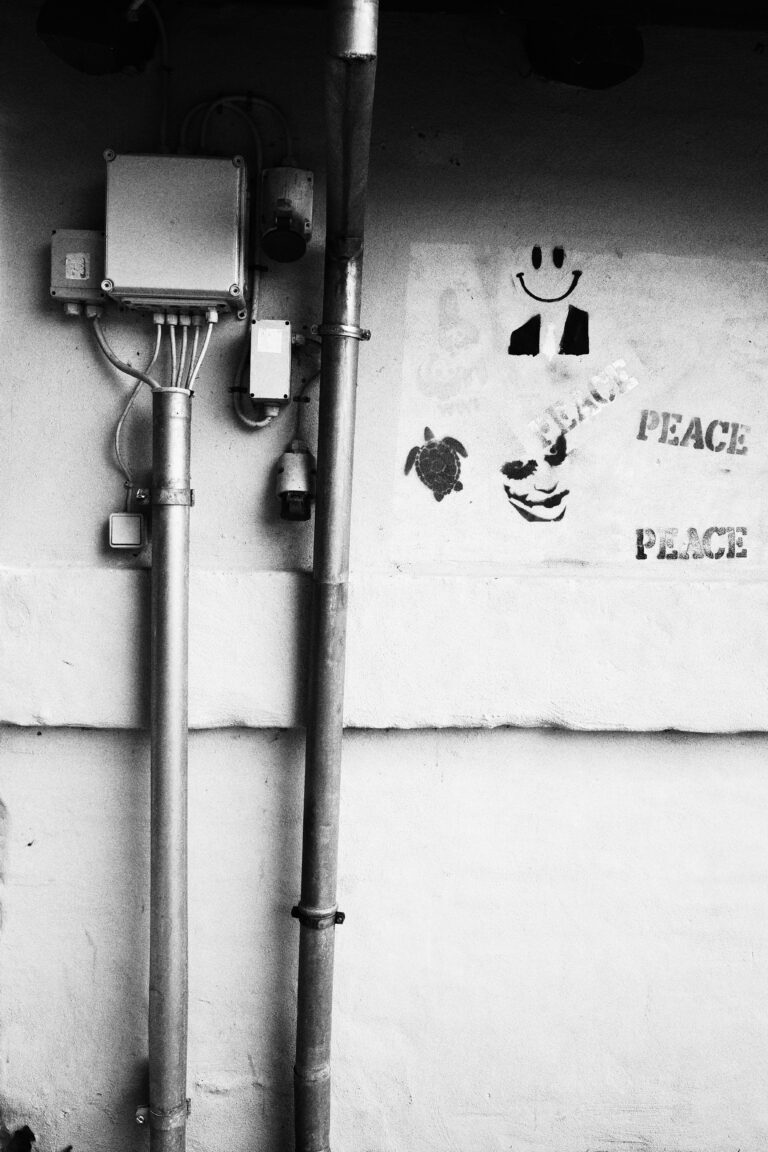 Photo by Rune Ranch