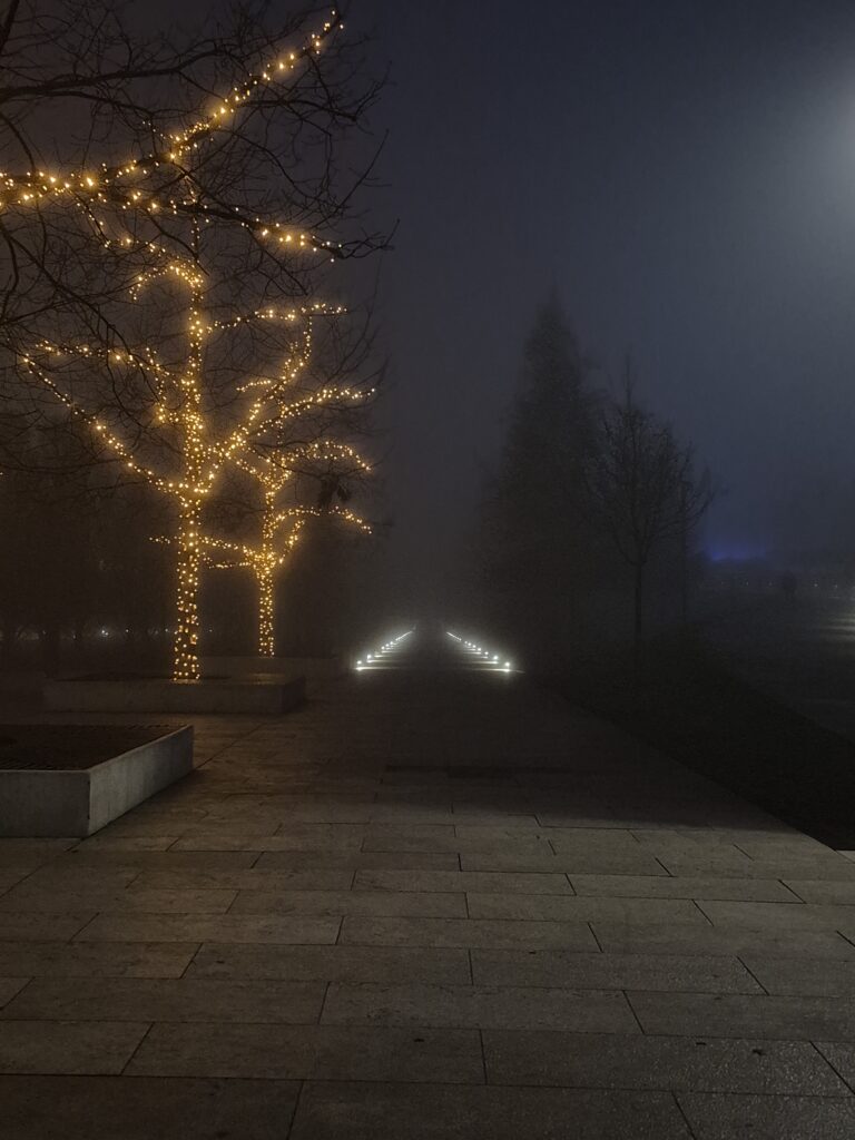 Photo by Lyubov Moroz
