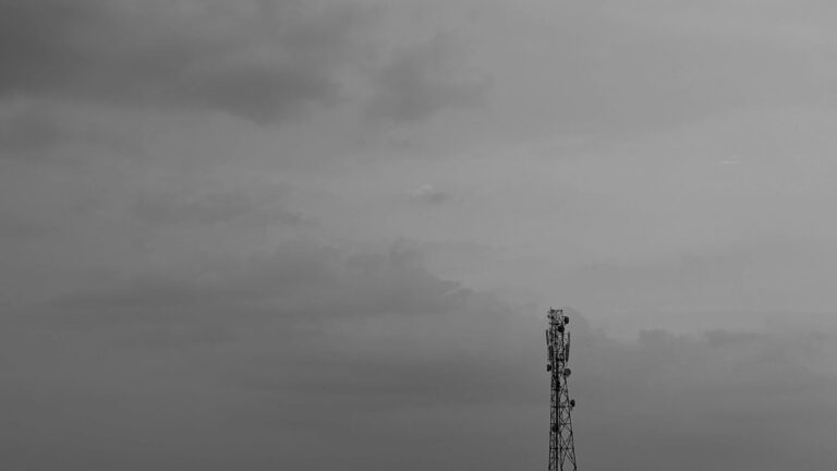 Photo by Pranjal Kasnia