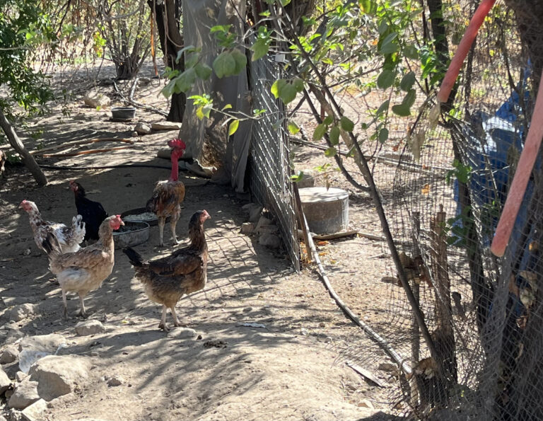 Photo by Mariam Odisho