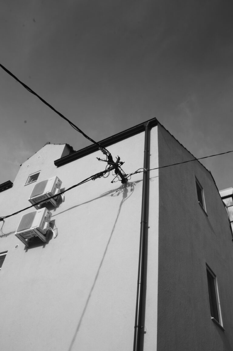 Photo by Máté Léber