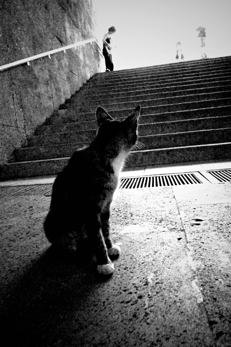 Photo by Artur Tngryan