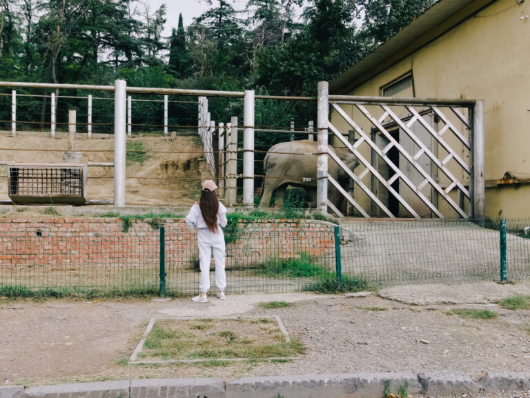 Photo by Luka Chonkadze