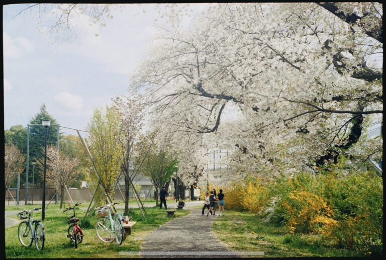 Photo by Naoki Iwamoto