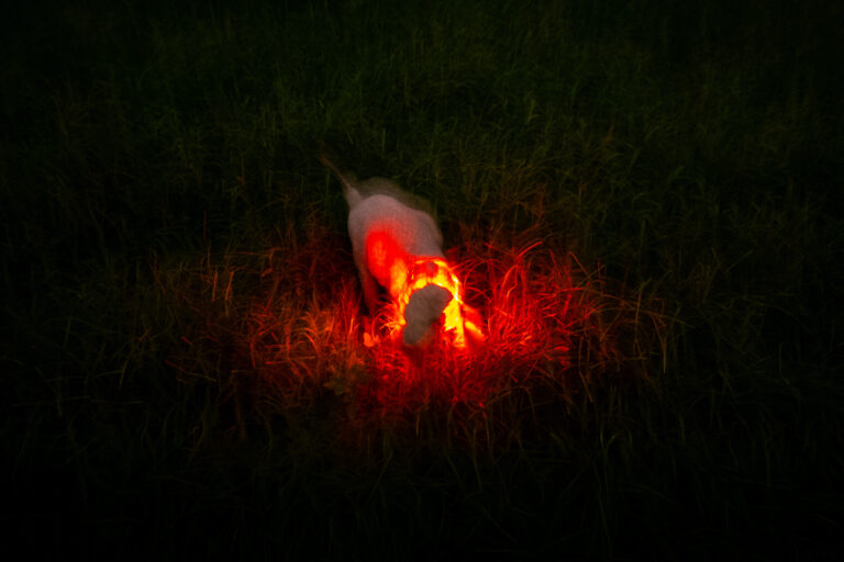 Photo by Alex 艾老师