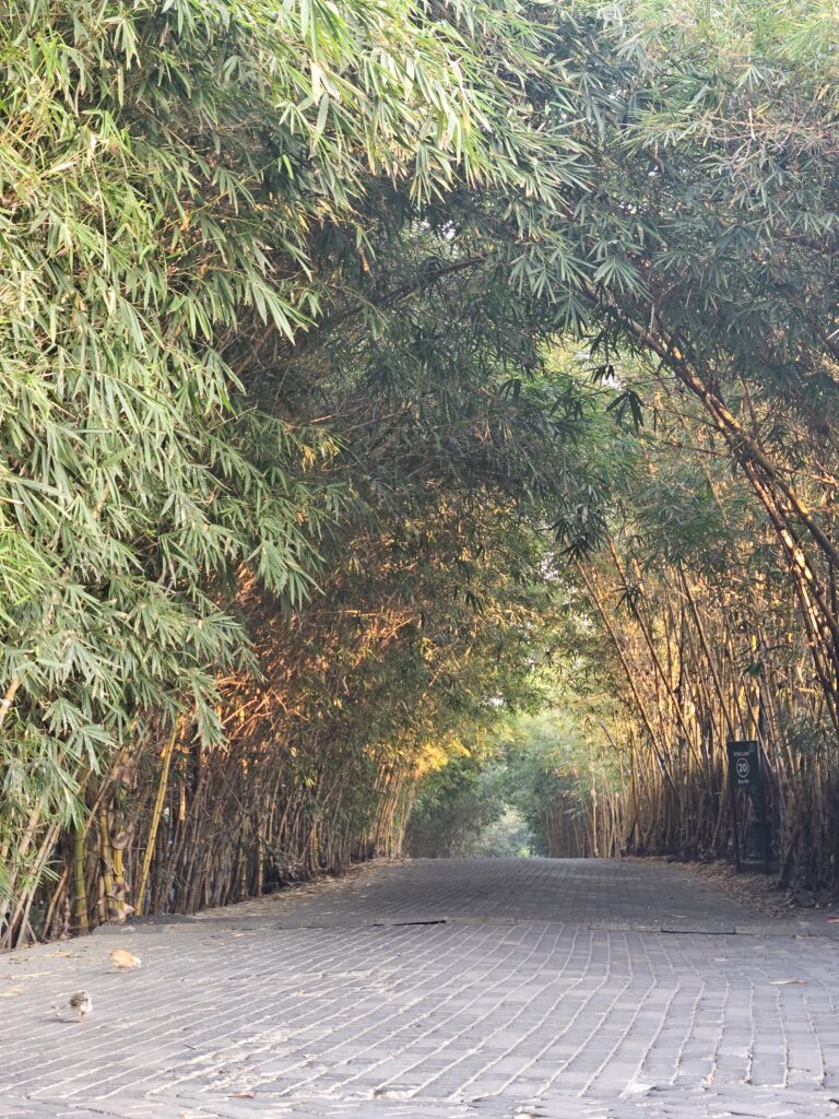 Photo by Durga Agarwal