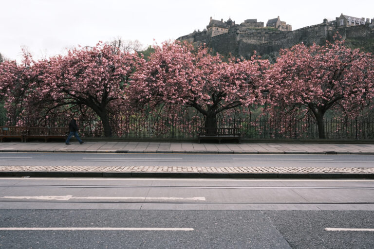 Photo by Lubomir Minar