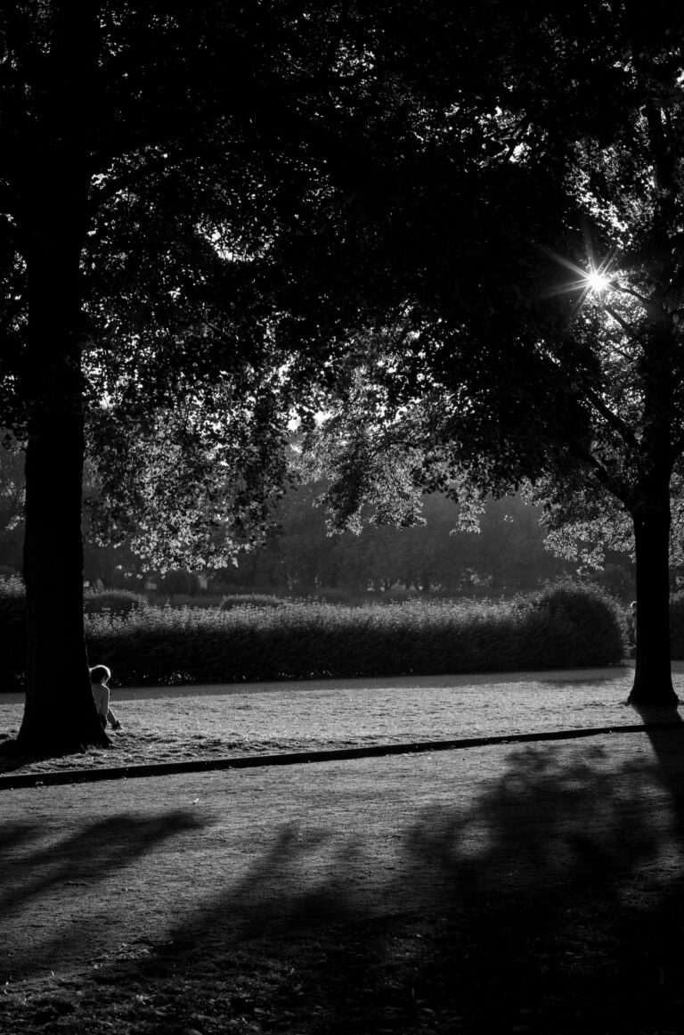 Photo by Marco Renz