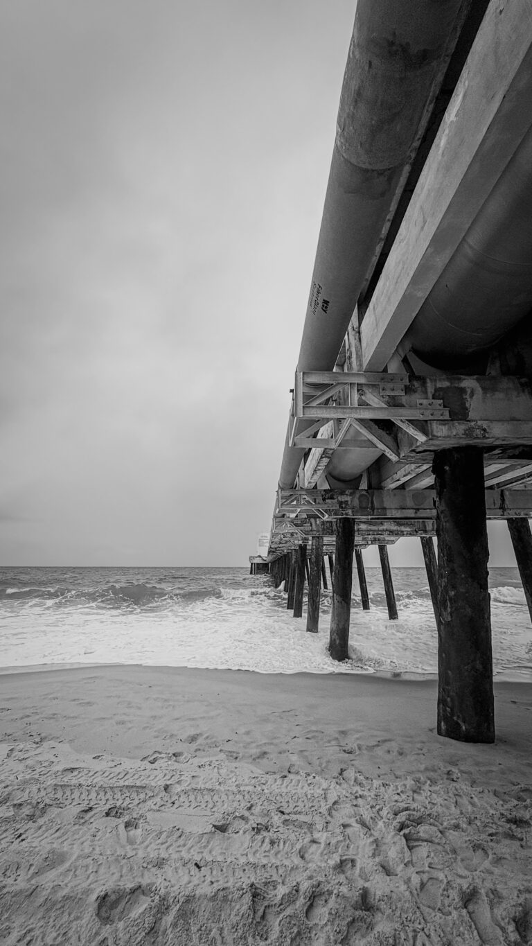 Photo by Helder Monteiro