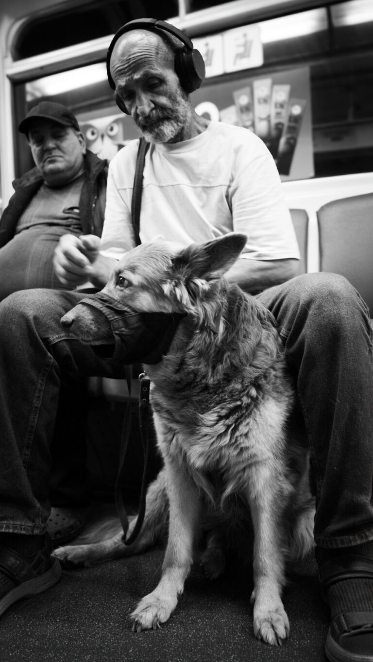 Photo by Artur Tngryan