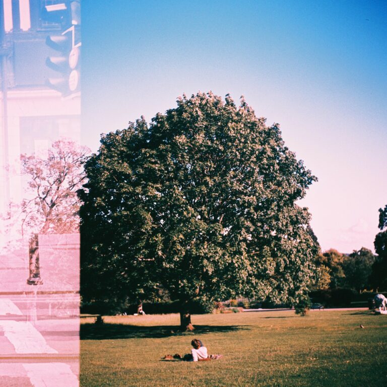 Photo by Ariwame Reynoso
