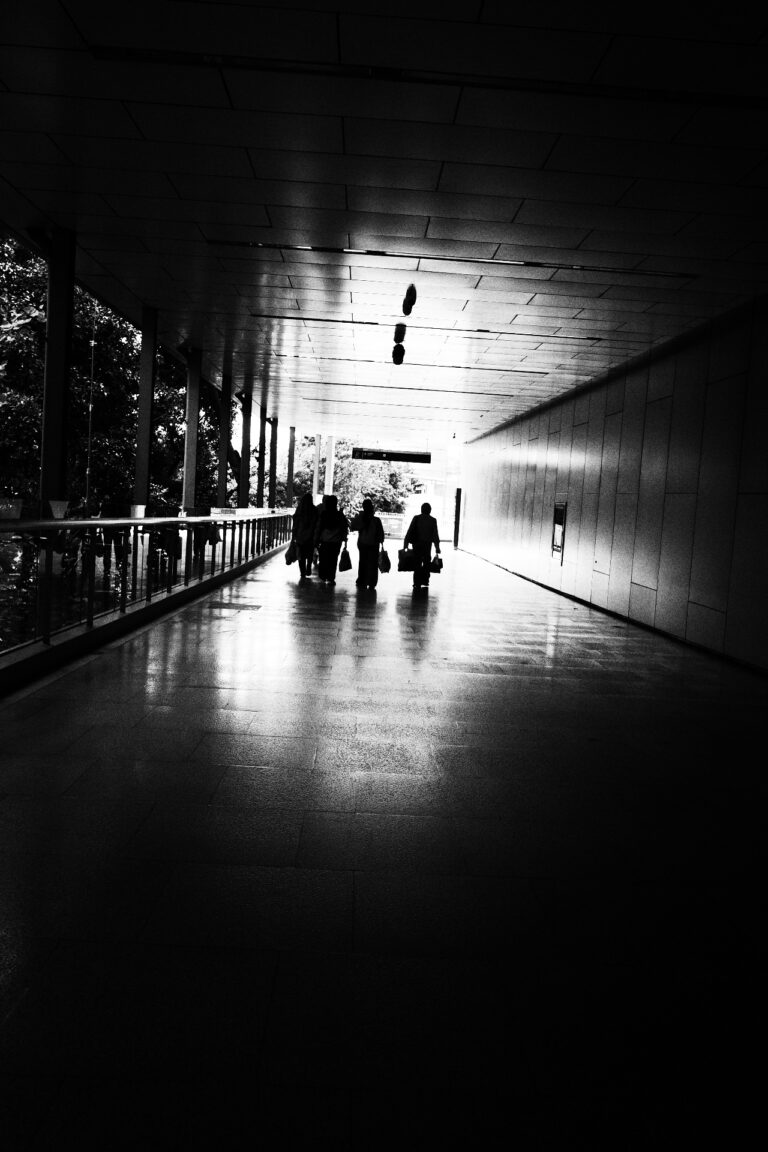 Photo by Nik TAN