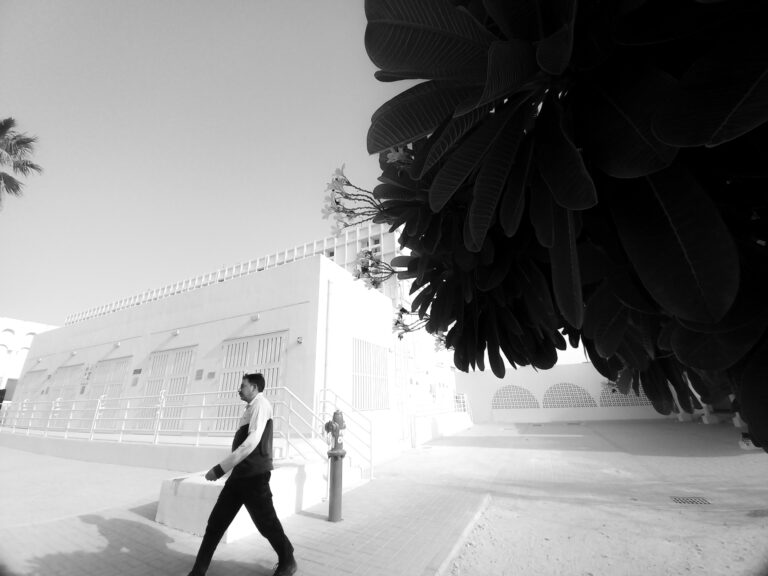 Photo by Ibraheem Elsayed