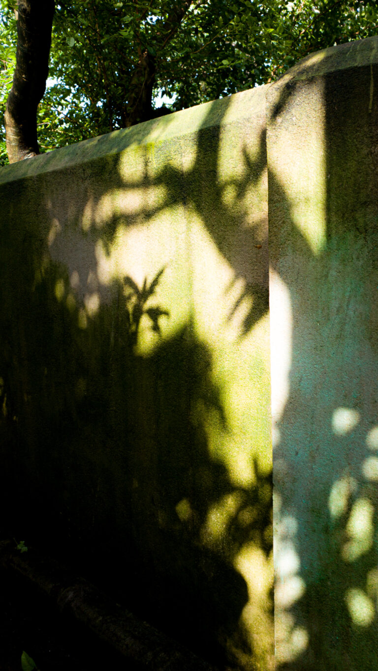 Photo by Priyabrata Nandi