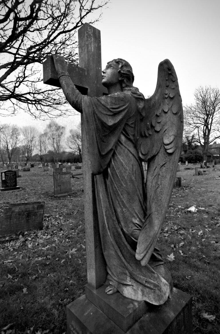 Photo by Paul Brolan