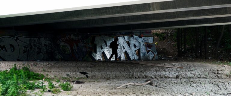 Photo by Mike Carter