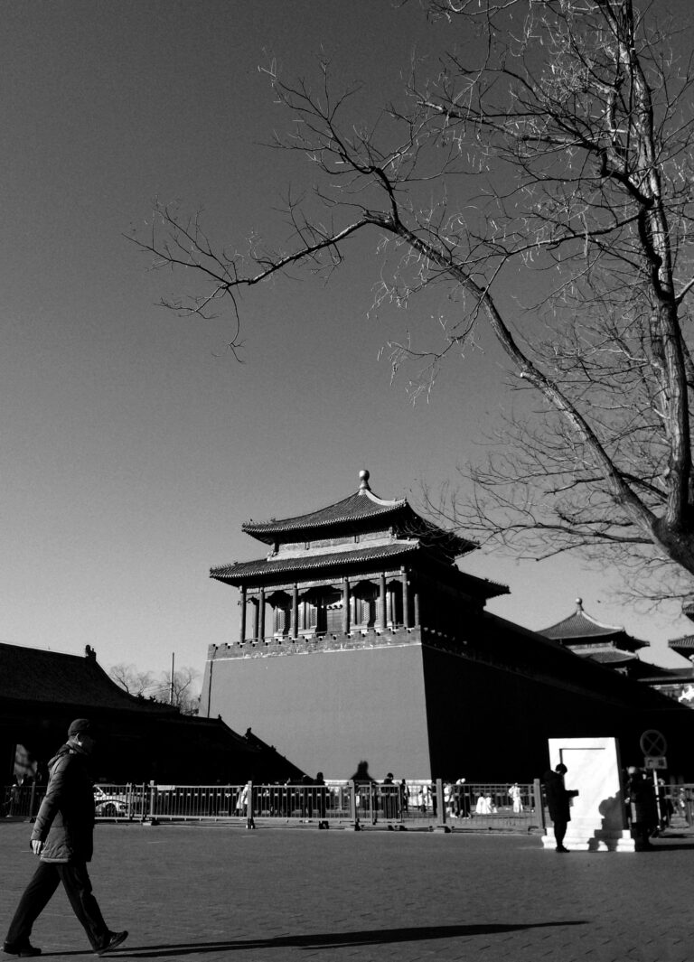 Photo by Zhenlin Feng
