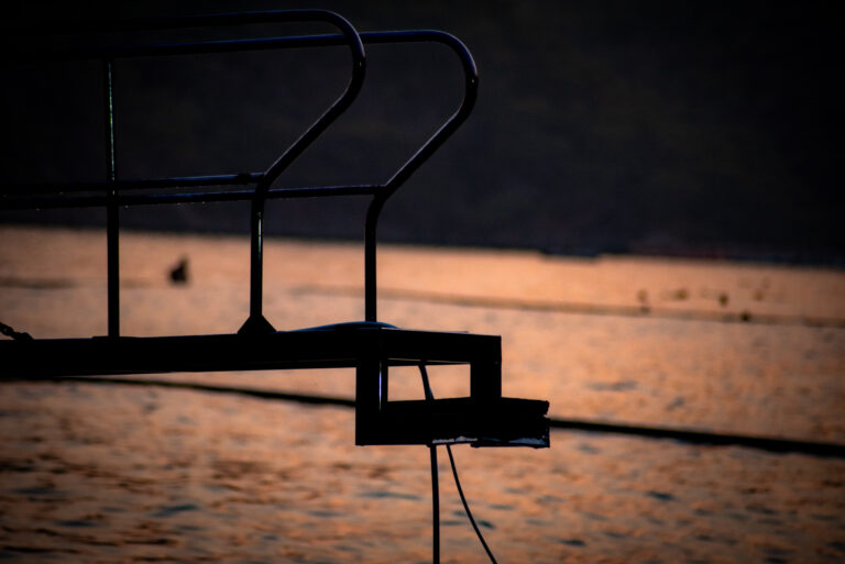 Photo by Tom Roselle