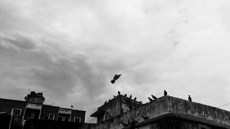 Street photo in Bishnupur, India by Snehasish Kaity