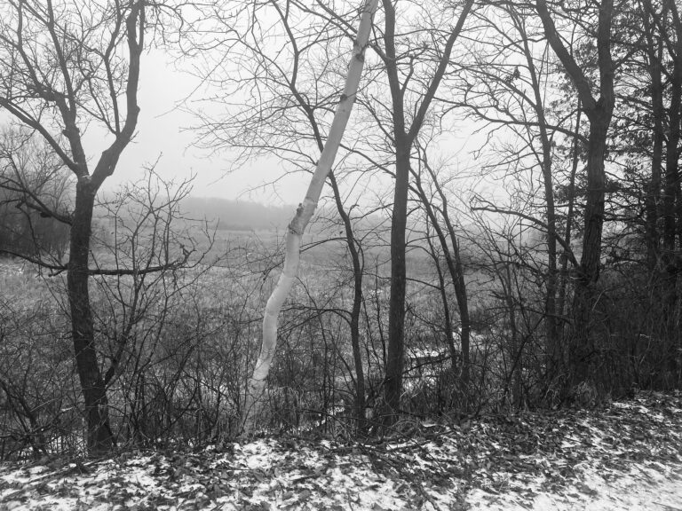 Photo by David Wortman