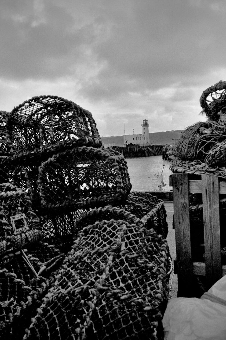 Photo by Paul Brolan