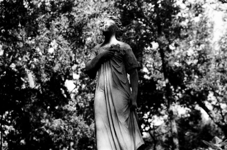 Silent Witness
