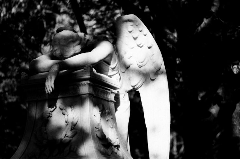 Photo by Jason Rod