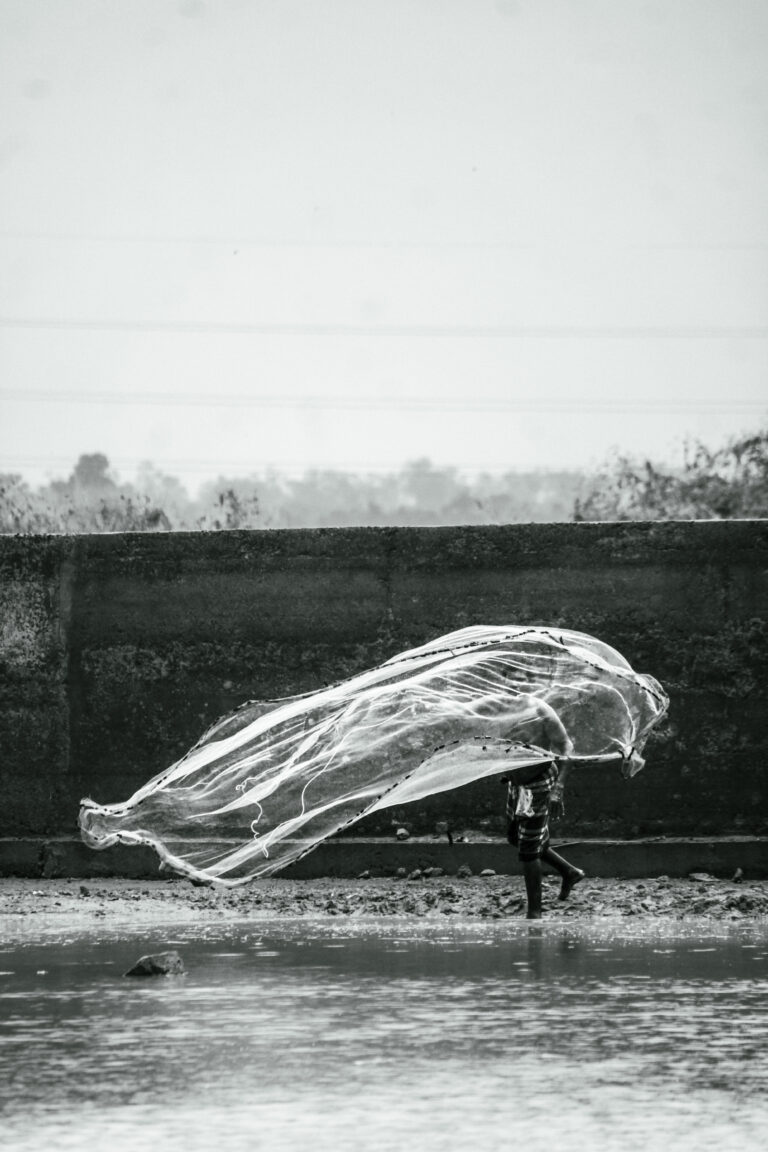 Photo by Priyabrata Nandi