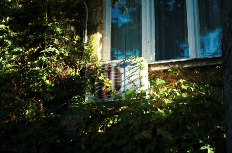 Photo by Mihajlo B.