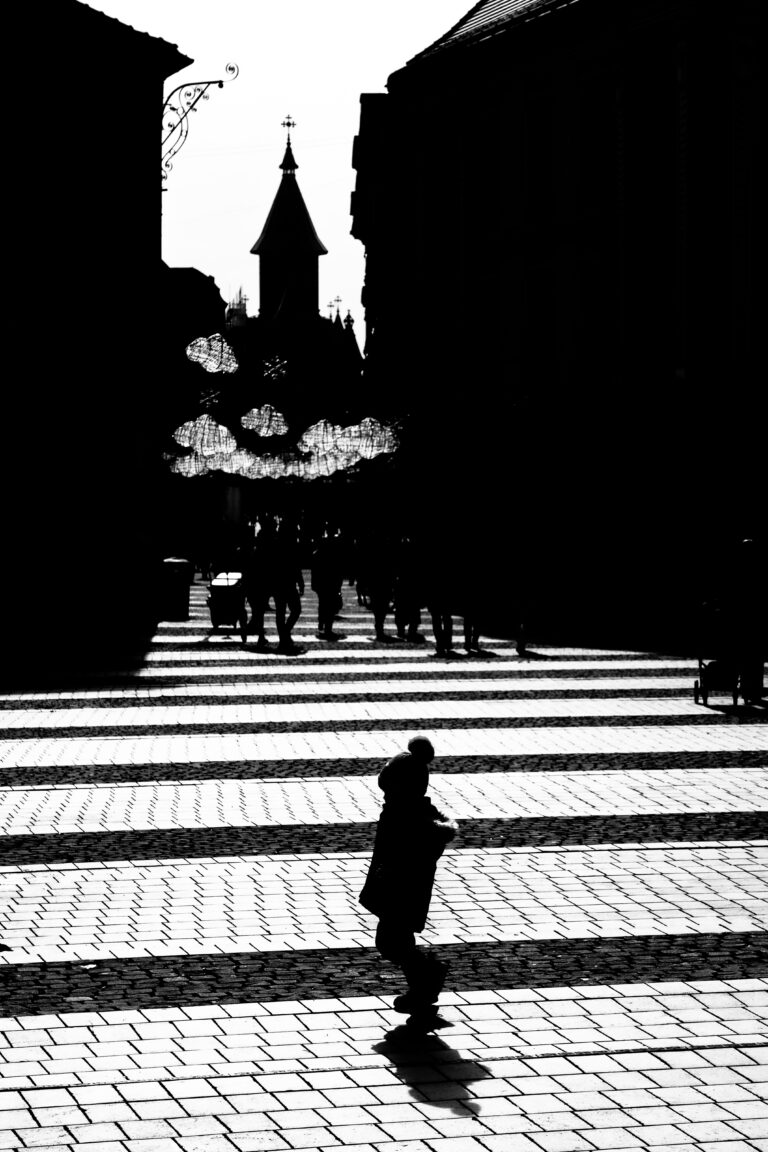 Photo by Cosnete Marian