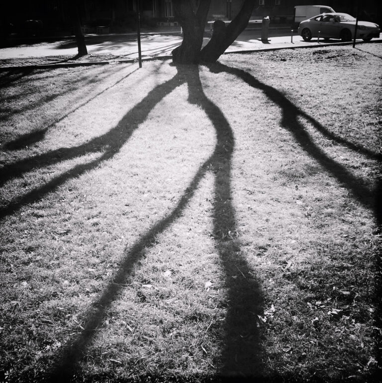 Photo by Zorislav Stojanovic