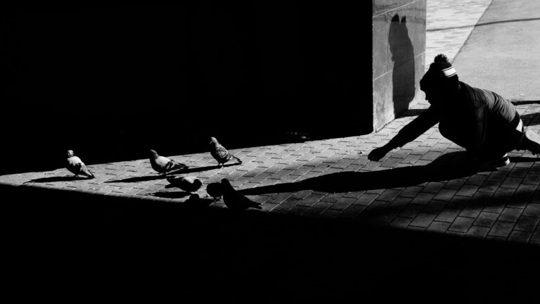 Photo by Ermo Naarits